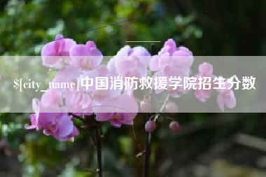 迪庆中国消防救援学院招生分数