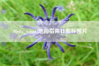 迪庆地图指南针图标图片
