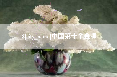 迪庆中国第十个金牌