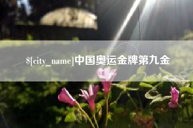 迪庆中国奥运金牌第九金