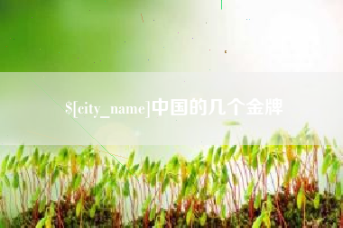 迪庆中国的几个金牌