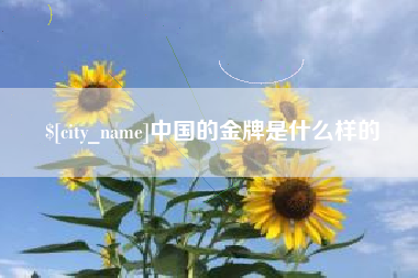 迪庆中国的金牌是什么样的