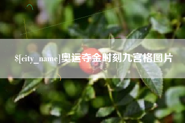 迪庆奥运夺金时刻九宫格图片