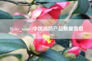 迪庆中国消防产品质量信息
