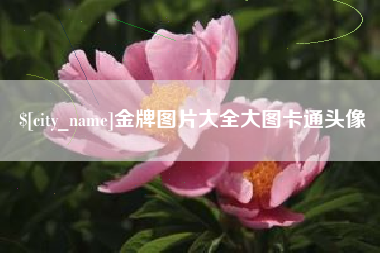迪庆金牌图片大全大图卡通头像