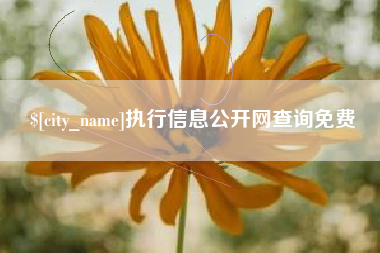 迪庆执行信息公开网查询免费