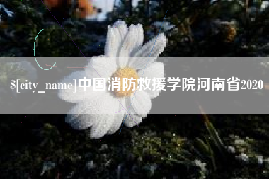 迪庆中国消防救援学院河南省2020